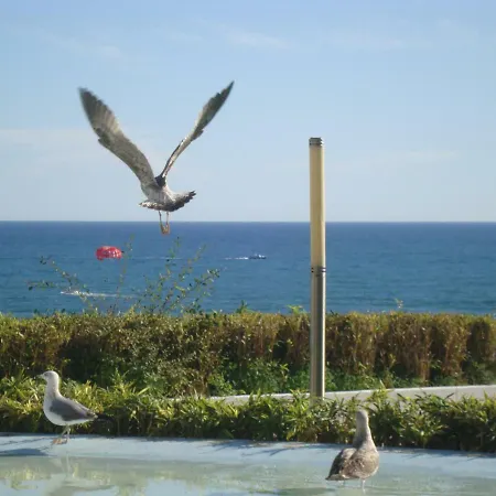 Pensjonat Algarvia Boutique & Albufeira