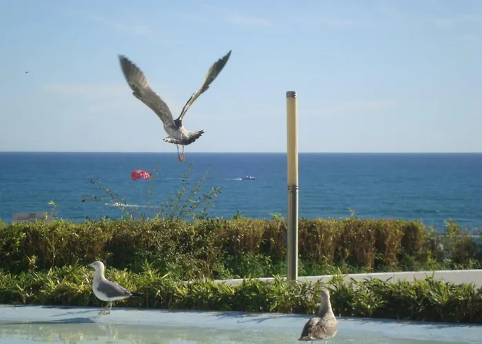 Guest house Algarvia Boutique & Albufeira